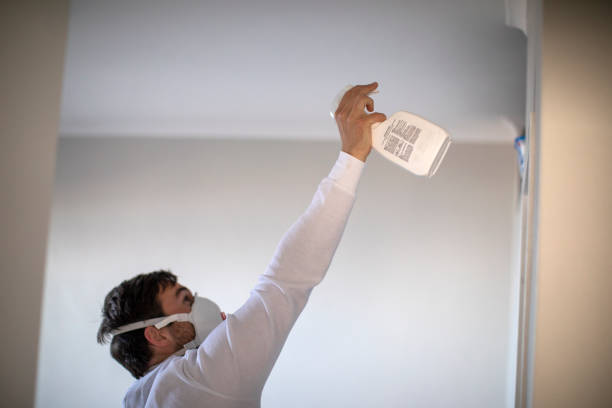 Best Kitchen Mold Remediation in Cochran, GA