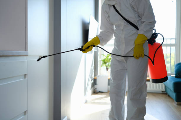 Best HVAC Mold Remediation in Cochran, GA