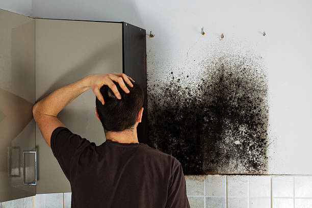 Best Residential Mold Remediation in Cochran, GA